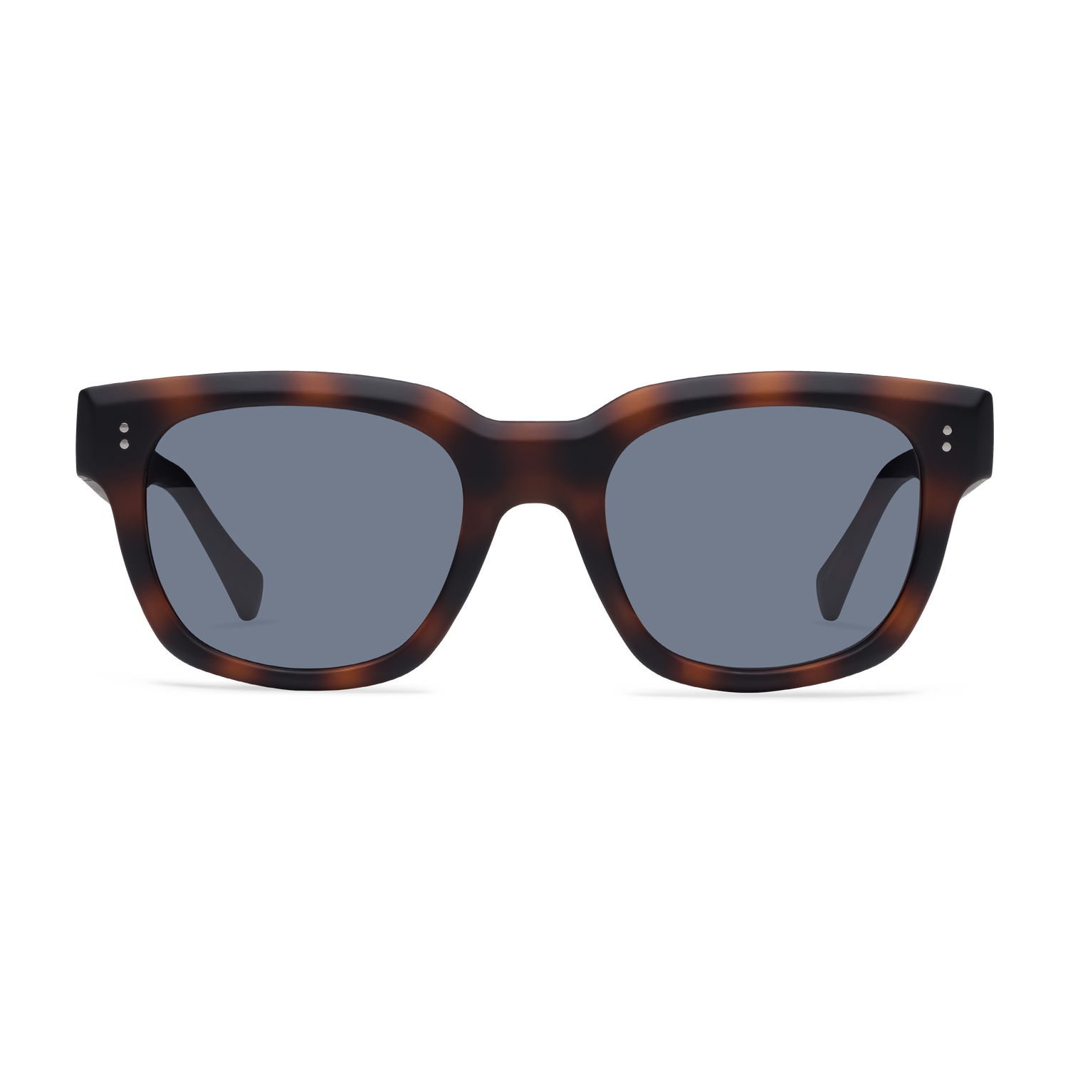kaine_kaine-sun_tortoise_001_1500x.png
