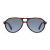 Sun Progressives